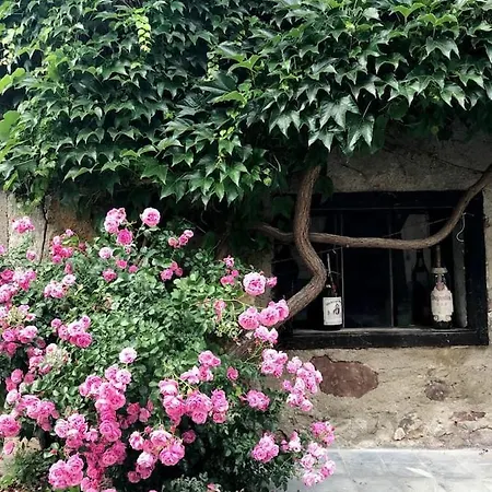 Hans - Wohnen Im Herzen Des Drautales Apartment Feistritz an der Drau