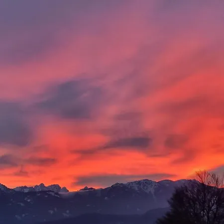Apartment Hans - Wohnen Im Herzen Des Drautales