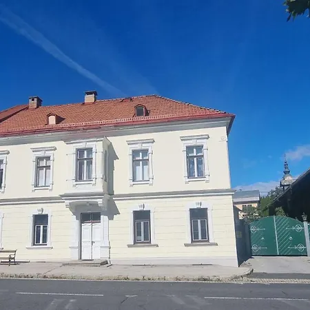 Hans - Wohnen Im Herzen Des Drautales Apartman