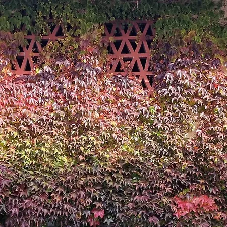 شقة Hans - Wohnen Im Herzen Des Drautales Feistritz an der Drau