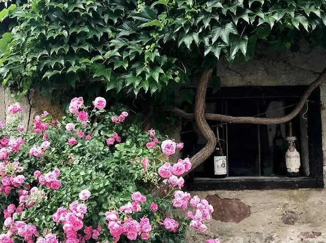 Hans - Wohnen Im Herzen Des Drautales Apartament Feistritz an der Drau