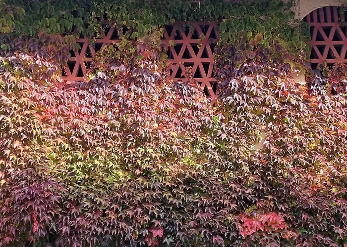 Apartament Hans - Wohnen Im Herzen Des Drautales Feistritz an der Drau